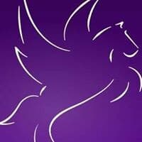 Pegasus Search & Selection logo