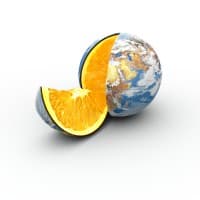 Proactive Risk Management logo