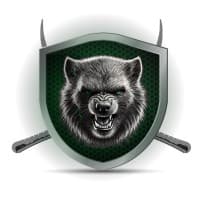 Cyber Strategy Consultants logo