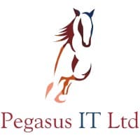 Pegasus IT logo