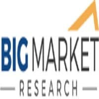 Big Market Research logo