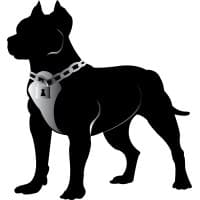 Pitt Bull Secure logo
