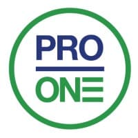Professional One logo