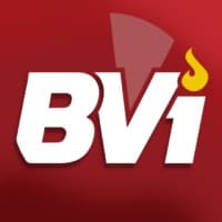 BuenaVista Information logo