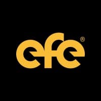 EFE Consulting Groupâ„¢ logo