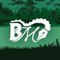 Bayou Marketing logo