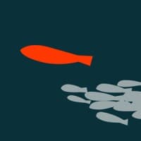Red Minnow Interactive logo