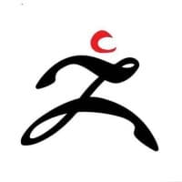 Zettawise Consulting Pvt logo