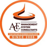 Ace Management System Consultants logo
