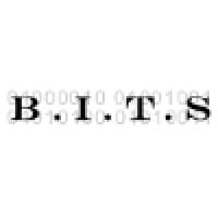 Branham IT Solutions logo