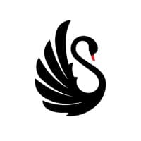 Black Swan Business Setup Services logo