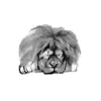 Sleepy Lion logo