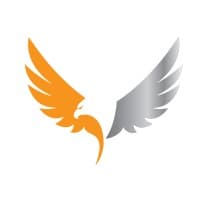 Drone Major logo