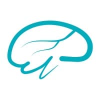 Brain Stream logo