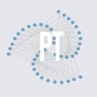 Platinum Technology logo