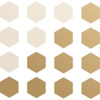 C&S Finance Group logo