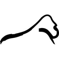 Silverback Data Center Solutions logo
