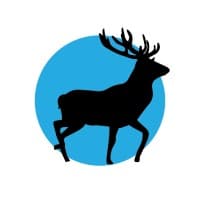 Newton Chase logo