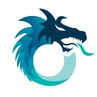Dragon Information logo