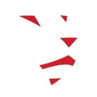 LionOBytes logo
