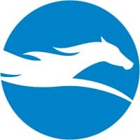 Blue Blaze Associates logo