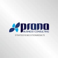 Prana Business Consulting logo