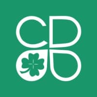 CleverDev logo