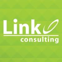 Link Consulting Services logo
