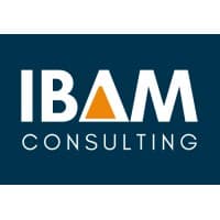 IBAM Consulting â˜… A Sunday Times 100 Best Small Company logo