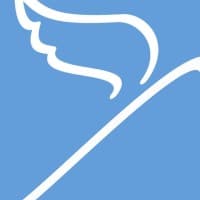 Dove Computer Solutions logo