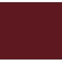 Insight Accounting & Financial Consulting logo