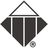TTI Success Insights logo