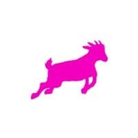 Anything is Possible logo