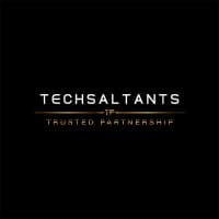 Techsaltants logo