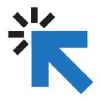 Digital Crisis logo