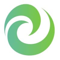 Cyber Synergy logo