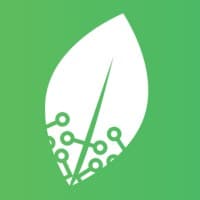 Rooted logo