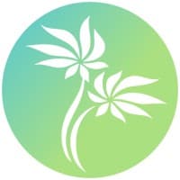 Technology Aloha logo