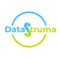 DATASTRATUM logo