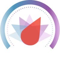 Dialsmith logo