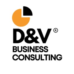 D&V Business Consulting logo